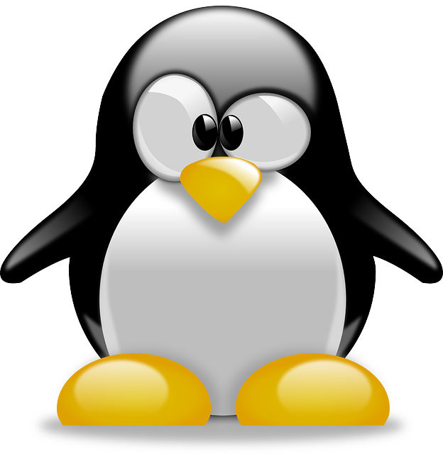 You are currently viewing Linux: In Teamviewer neue ID erzeugen lassen