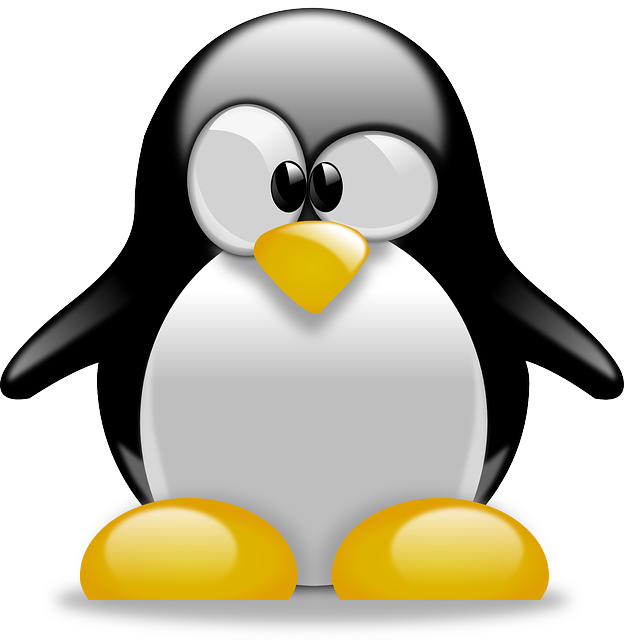 Read more about the article Linux: In Teamviewer neue ID erzeugen lassen